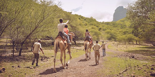 Picture not available in the Dir